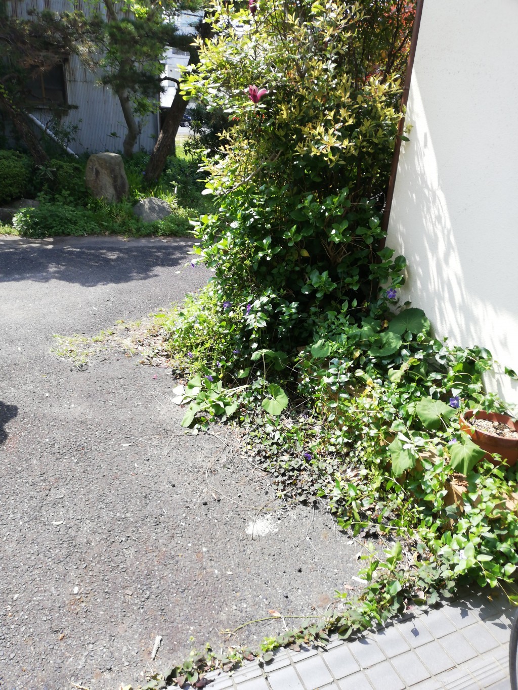 【燕市】粗大ごみ、ダンボール、家庭ごみの回収☆希望日時にリピート割でお安く対応できました!